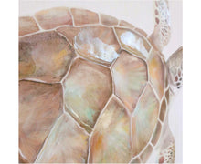 Load image into Gallery viewer, Turtle Artwork