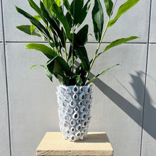 Load image into Gallery viewer, Barnacle Vase