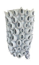 Load image into Gallery viewer, Barnacle Vase