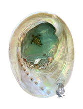 Load image into Gallery viewer, Hand painted Abalone Shells