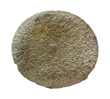 Load image into Gallery viewer, Whale Vertebrae Discs