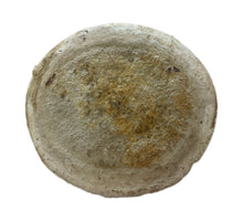 Load image into Gallery viewer, Whale Vertebrae Discs