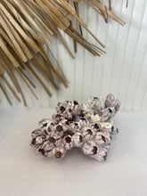 Load image into Gallery viewer, Real Barnacles - Small