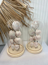 Load image into Gallery viewer, Shell Cloche