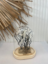 Load image into Gallery viewer, Seahorse Cloche Small