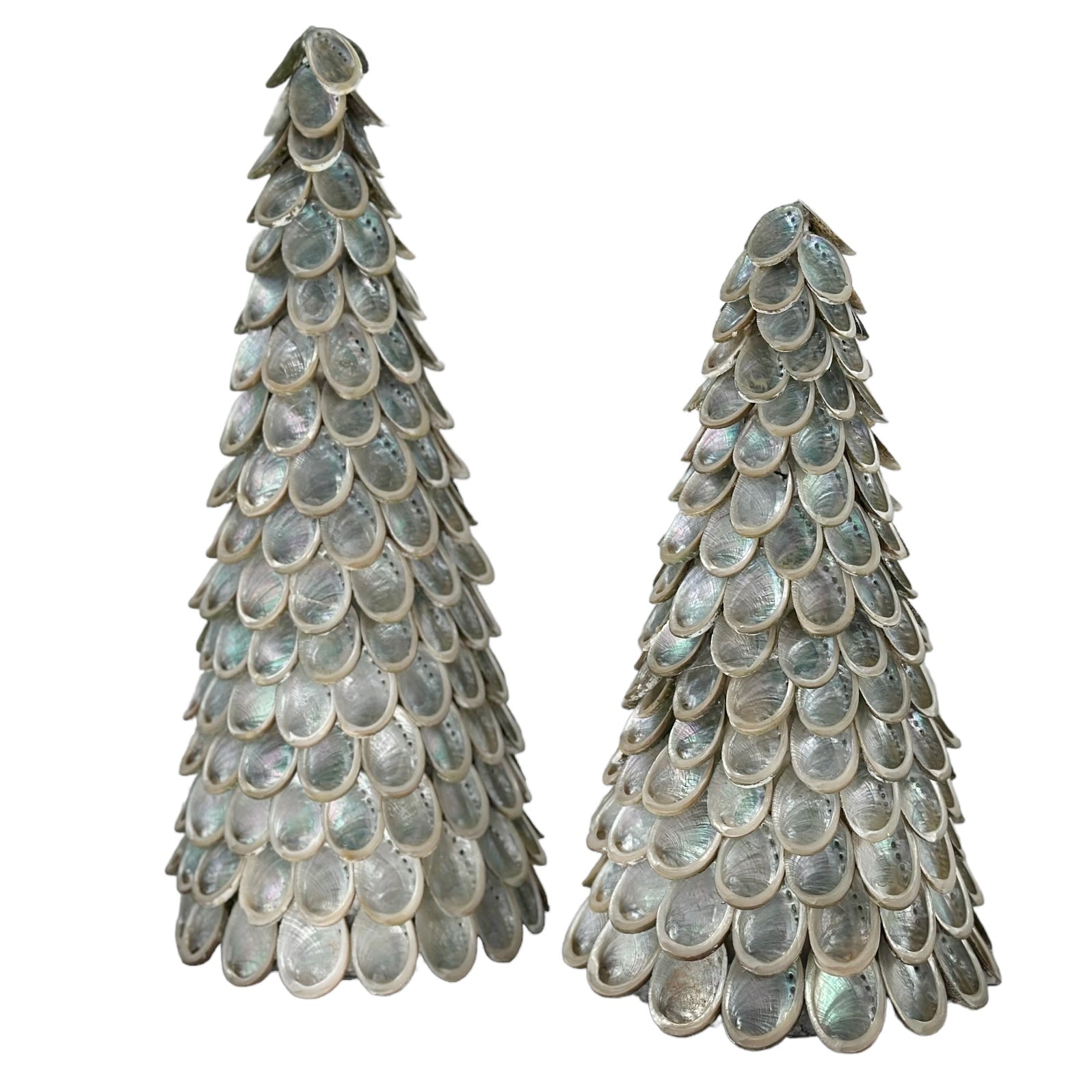 Abalone Shell Tree – The Sea Merchant