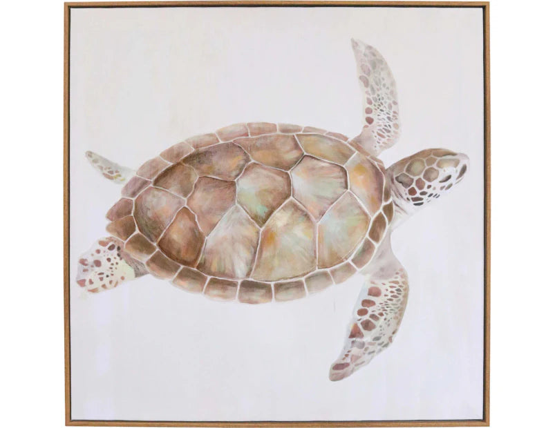 Turtle Artwork