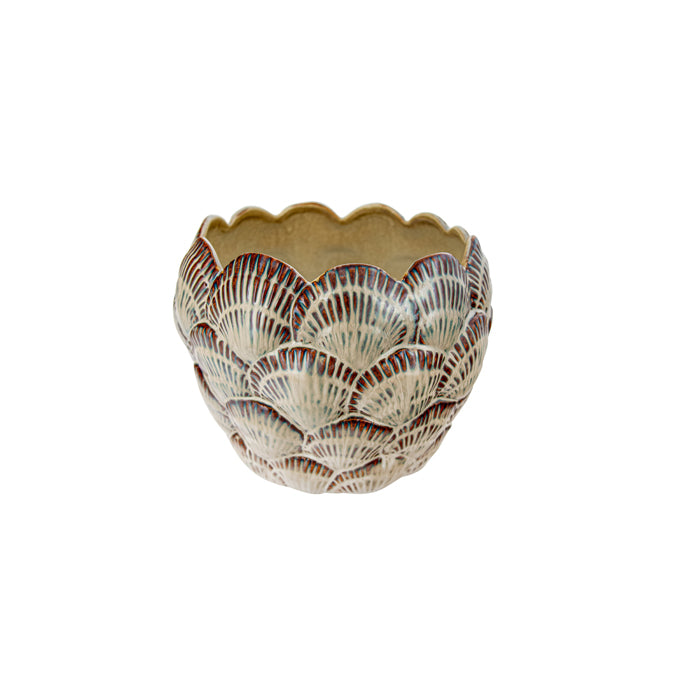 Shell planter the sea merchant
