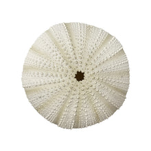 Load image into Gallery viewer, Ceramic Urchin Wall Hanging
