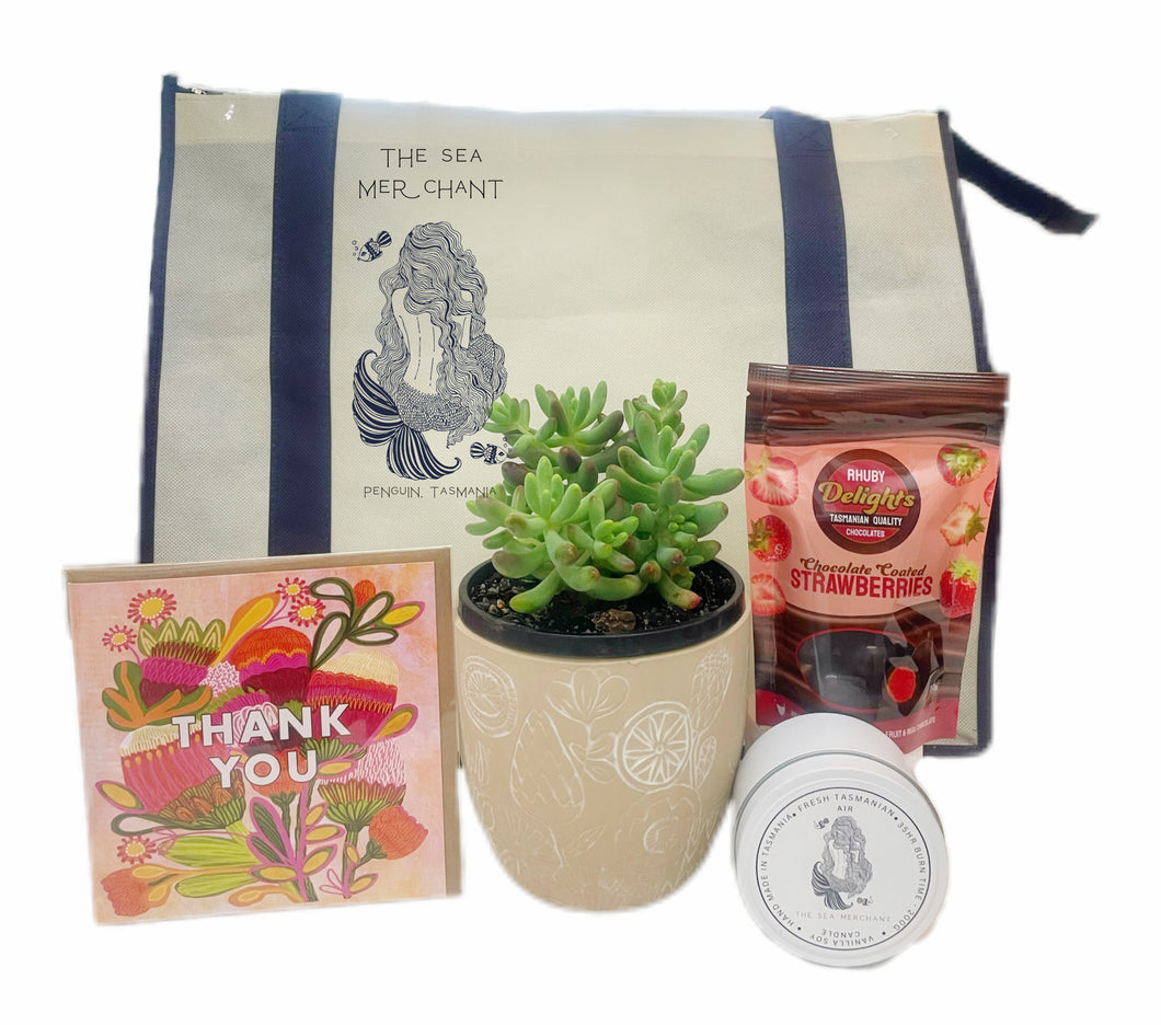 Thank You Succulent Hamper