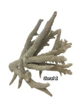 Load image into Gallery viewer, Real Staghorn Coral

