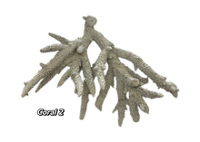 Load image into Gallery viewer, Real Staghorn Coral
